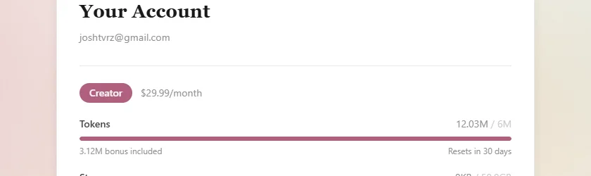 Account settings showing current token balance, usage breakdown, and days until reset